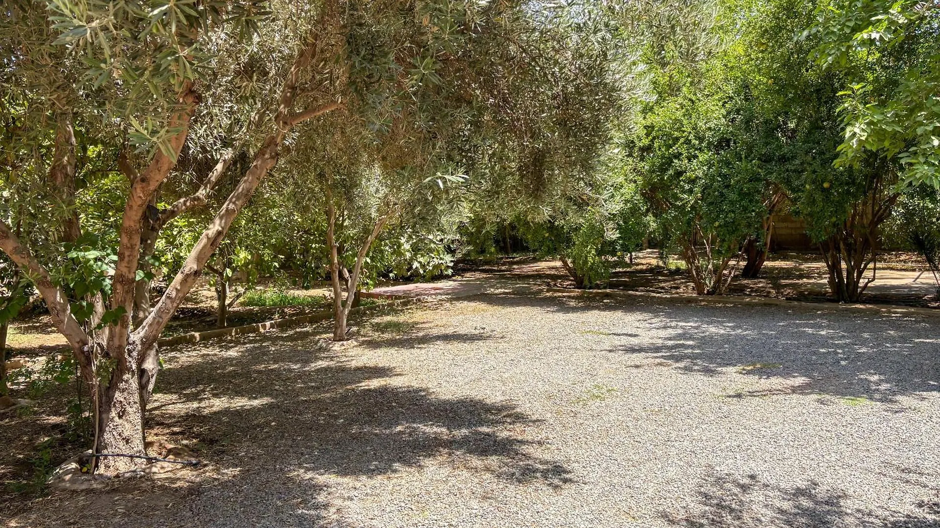 Le Bleu House Bed and Breakfast Sidi Abdallah Ghiat